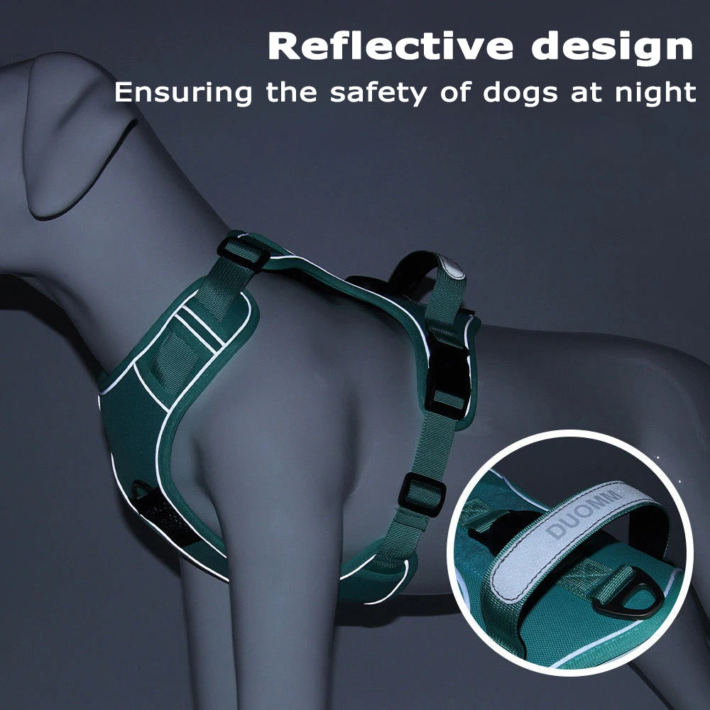 TrackGuard Harness