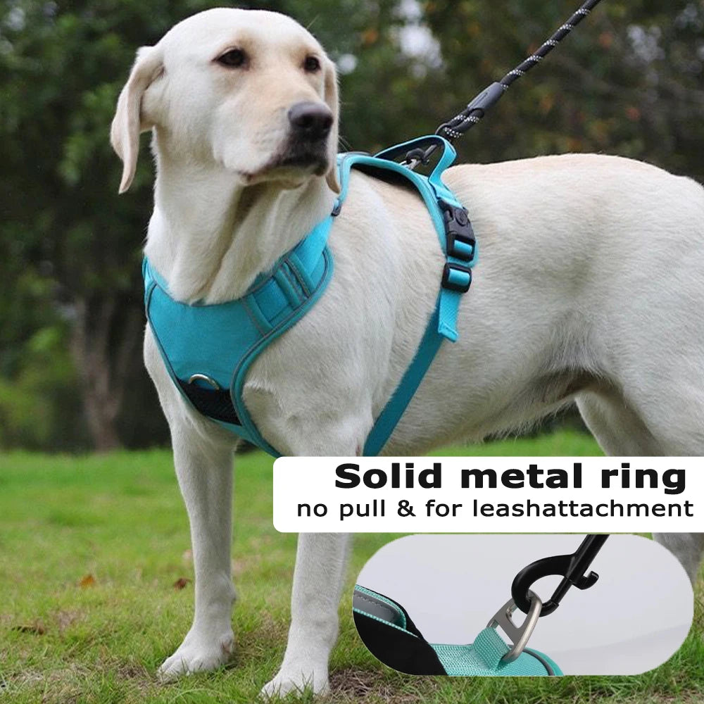 TrackGuard Harness