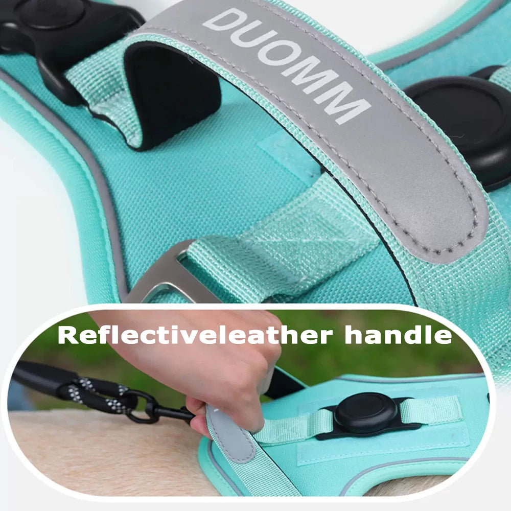 TrackGuard Harness